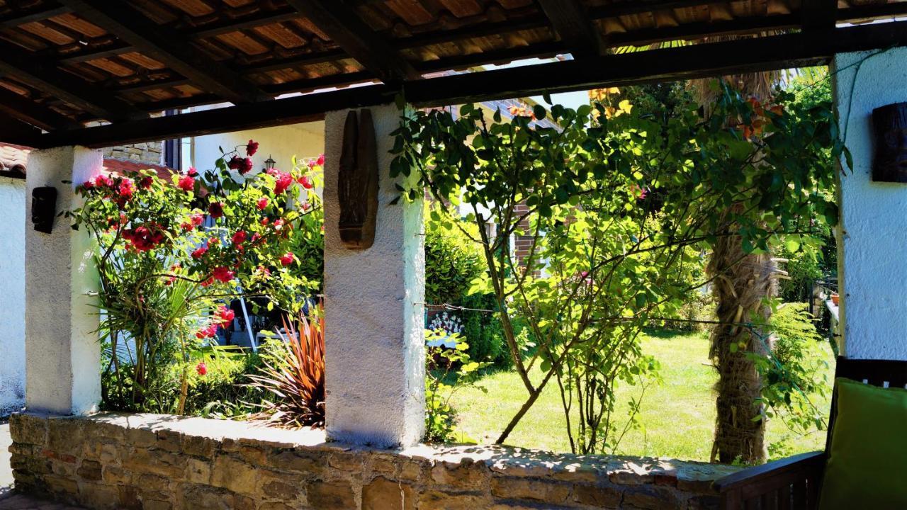 Apartments Garden モトヴン エクステリア 写真